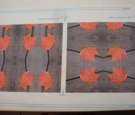 Maple Stripes