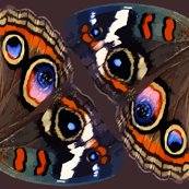 Rrrbutterfly1_vectorfin_shop_thumb