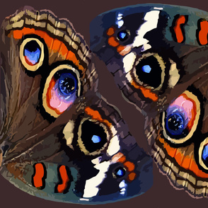Buckeye Butterfly Wings