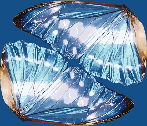 Rrrrbutterfly2_vector_fin_shop_preview