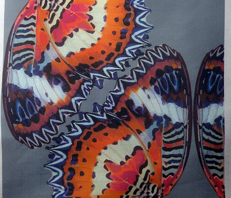 Rrrrbutterfly3_vector_fin_comment_218659_preview