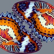 Rrrrbutterfly3_vector_fin_shop_thumb