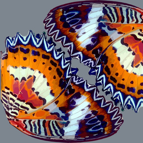 Red Lacewing butterfly wings