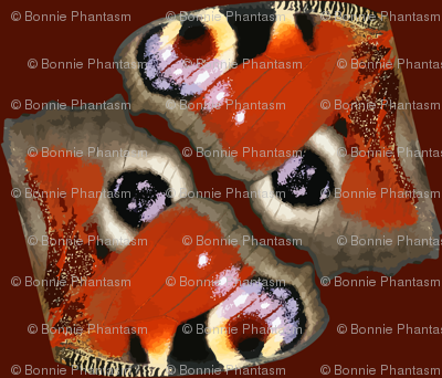 European Peacock Butterfly Wings