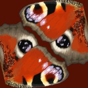 Rrrrbutterfly8_vector_fin_shop_thumb