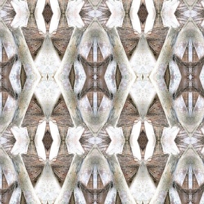 White Wash Palm Bark