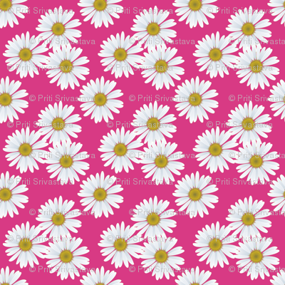 daisy_magenta_pattern