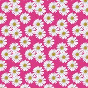 Rdaisy_magenta_pattern_shop_thumb