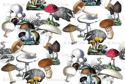 Badger Badger Mushroom