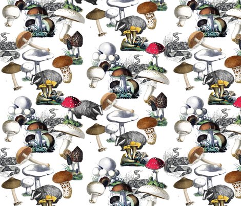 Mushrooms_copy_shop_preview