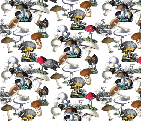 Badger Badger Mushroom fabric by annacole on Spoonflower - custom fabric