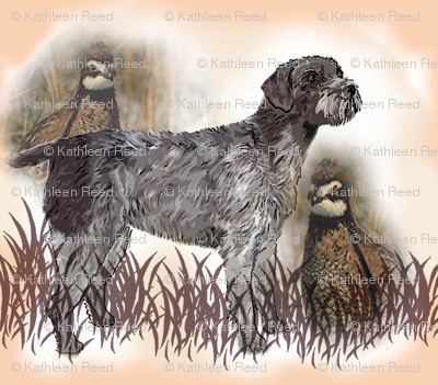German Wirehaired Pointer With Quail fabric