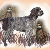 German Wirehaired Pointer With Quail fabric