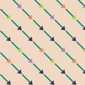 Bias Arrows