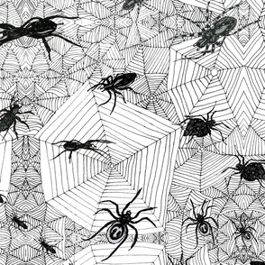 Creepy Crawlies