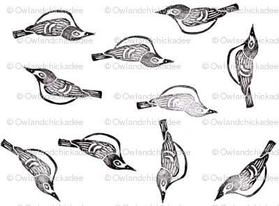 Black-Capped Vireo - Endangered Species