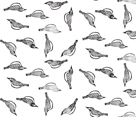 Rrrblack_capped_vireo_page_shop_preview