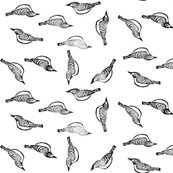 Rrrblack_capped_vireo_page_shop_thumb
