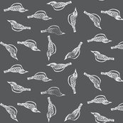 Rrrblack_capped_vireo_page_shop_thumb