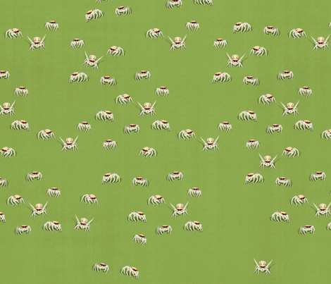 jumping spider fabric by emherzog on Spoonflower - custom fabric