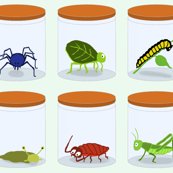 Rbugs_in_jars_shop_thumb