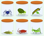 Caged Crawlies