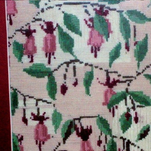 fuschia