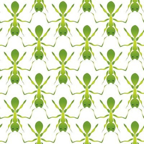 Here come the green ants