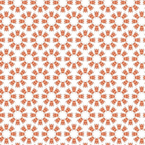 Orange bug flowers