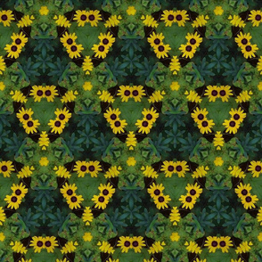 Black-Eyed Susan