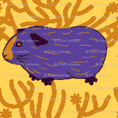Guinea pig & a bush (Complementary Colours)