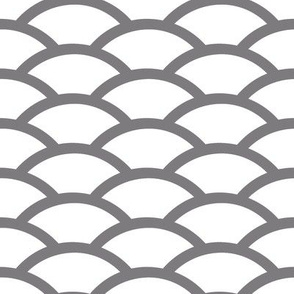 Gray scallop on white background