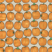 My Pumpkin Patch