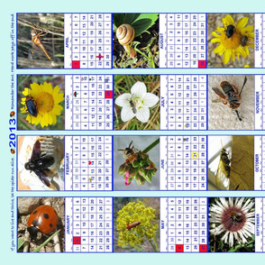 Bug Calendar 2013