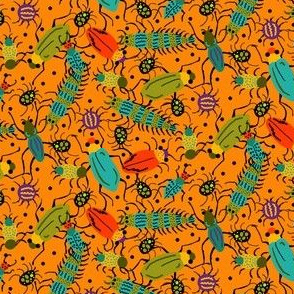 BUGS orange