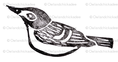 black-capped-vireo-large