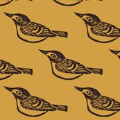Rrrblack-capped-vireo-large_shop_thumb