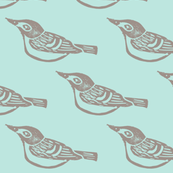 Black Capped Vireo Large - Bluebird -ch