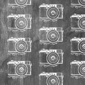 Retro Cam...