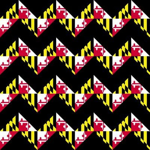 My Maryland in Chevron