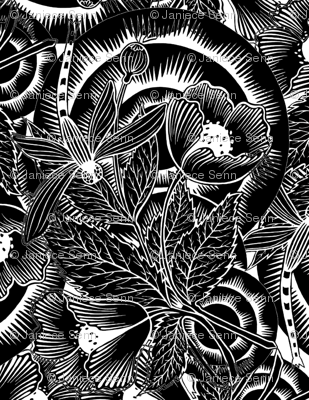 Dragonfly in black and white