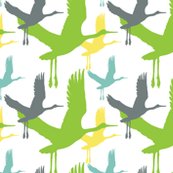 Rbirds_3_shop_thumb