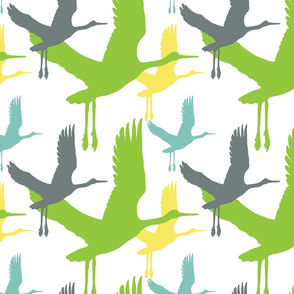 the aviary