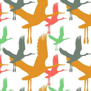 summer birds