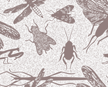 Mono_bug_stamp_thumb