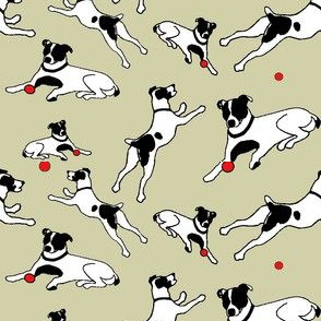 Fetch!