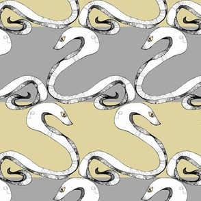 Snake Stripes