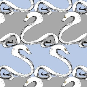 Snake Stripes II.