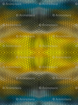 Reptile Skin 1