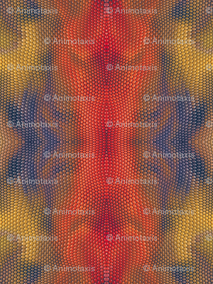 Reptile Skin 5